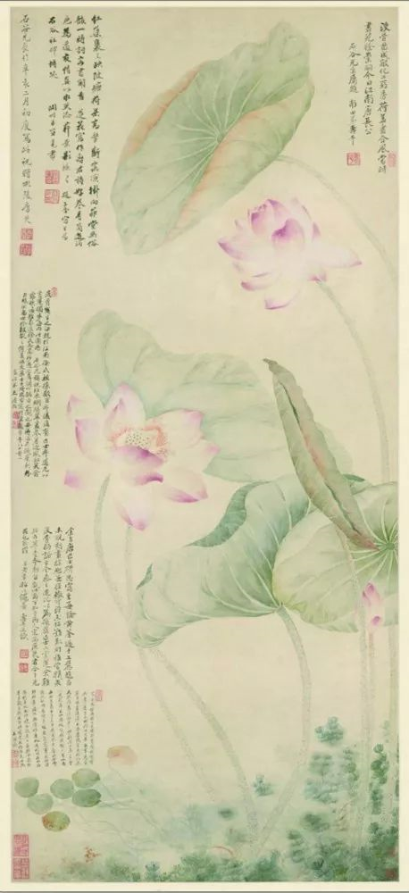 1-清·《红莲绿藻图》.png
